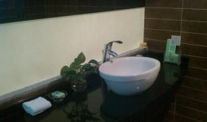 a bathroom with a sink and a plant on a counter at Shanghai Sina Hotel (Pudong InternationalAirport) in Shanghai