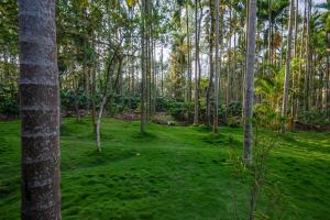 Κήπος έξω από το StayVista at Tall Silver with Infinity Pool & Breakfast -2BR