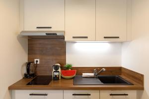 een keuken met een spoelbak en een aanrechtblad bij Le Charme YourHostHelper in Cannes