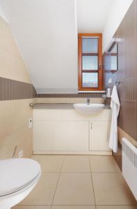 a bathroom with a sink and a toilet and a window at Wellness Hotel Říčky in Říčky