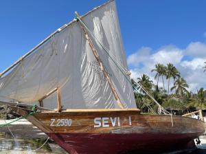 SeVi Boutique Hotel في ماتيموي: وجود قارب يجلس في الماء على شاطئ