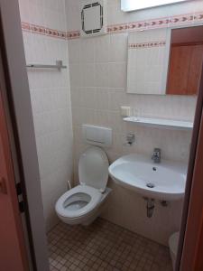 a bathroom with a toilet and a sink at Gasthof Pension Altwirt in Sachsenkam