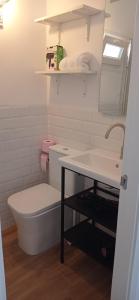 a bathroom with a sink and a toilet and a mirror at Apartamentos El Alcazar de Jerez in Jerez de la Frontera
