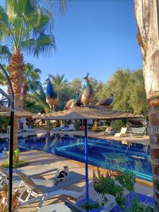 Bazén v ubytování Le Relais De Marrakech nebo v jeho okolí
