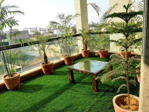 Hotel Vasudha Palace في جايبور: شرفة مع نباتات الفخار وطاولة على العشب