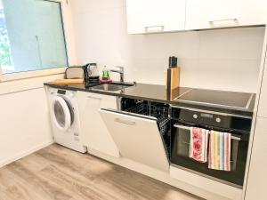 Kuchyň nebo kuchyňský kout v ubytování Nika Apartment - Aare Jungfrau AG