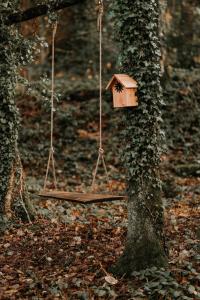 a swing hanging from a tree in a forest at Gîtes du Bulz, en pleine forêt proche de la mer in Pleyber-Christ