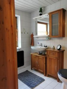 a bathroom with a sink and a mirror at Finnhütte Wolfsburg in Wolfsburg-Unkeroda