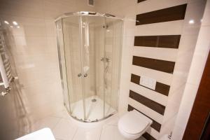 łazienka z prysznicem i toaletą w obiekcie Willa Na Szczycie w Zakopanem