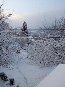 a snow covered road with a tree in the distance at Затишок in Yaremche