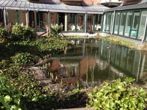 un étang en face d'un bâtiment avec des canards dans l'établissement Parkhotel Kevelaer, à Kevelaer