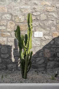 Foto da galeria de Argo Hotel em Platis Gialos, Mykonos