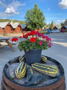 Foto dalla galleria di Formanka Hotel & Camp a Hustopeče