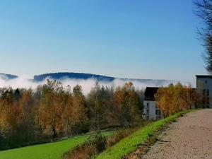 una strada nebbiosa accanto a una casa e a un campo di Appartement-Hotel Sibyllenbad a Neualbenreuth