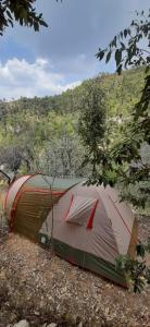 Příroda nedaleko luxury tent