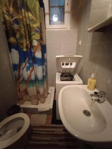 a bathroom with a sink and a toilet and a shower curtain at City Center Rooms in Budapest +82 photos