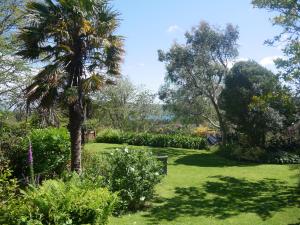 a garden with a palm tree and green grass at Rodeen Suite in Castletownbere