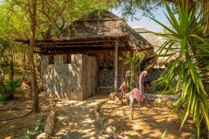 hippomoon lodge game reserve外面的花园
