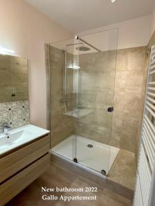 une douche avec une porte vitrée dans une salle de bain dans l'établissement Gallo Appartement & Duplex Tongeren centrum, à Tongres 33 autres photos
