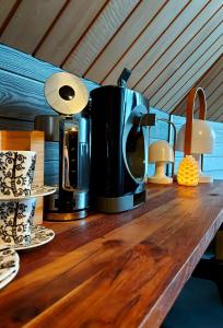 Gallery image of Arctic Land Adventure Glass Igloos in Kilpisj&auml;rvi