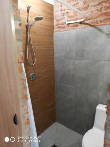 ein Bad mit einer Dusche, einem WC und einer Glastür in der Unterkunft Gogol 14 Апартаменти в історичному центрі міста генератор in Uschhorod
