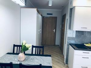 Kuchyňa alebo kuchynka v ubytovaní Apartment Superior Baltic with Terrace - FREE Pool, Saunas, Jacuzzi, Fitness, Salzgrotte