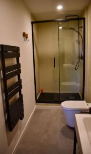 a bathroom with a glass shower and a toilet at Appartement Le Ponteil in Les Deux Alpes