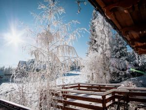 Willa Pachówka - tam, gdzie natura spotyka się z nowoczesnością iarna