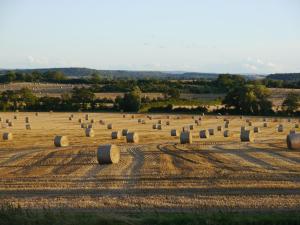 a large hay field with hay bales in it at South View Country House Sleeps 12 - Hot Tub - Views in Henley in Arden