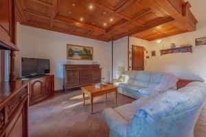 a living room with a couch and a tv at Chalet Pontal 1 in Courmayeur