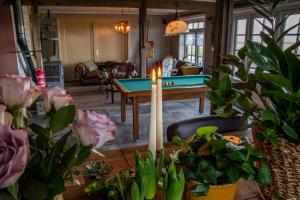 Billiards table sa De Martha Hoeve