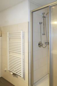 a shower with a glass door in a bathroom at Holiday Home Gunnar by Interhome in Flachau +20 photos