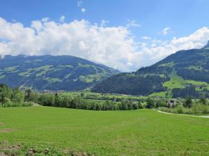 eine grüne Wiese mit Bergen im Hintergrund in der Unterkunft Apartment Talbach by Interhome in Laimach + 37 Fotos