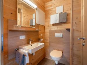 ein Badezimmer mit Waschbecken und Toilette in der Unterkunft Apartment Talbach by Interhome in Laimach