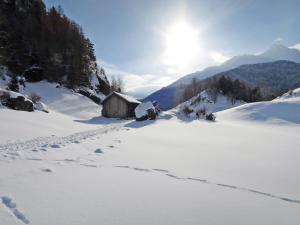 Príroda v okolí apartmánu