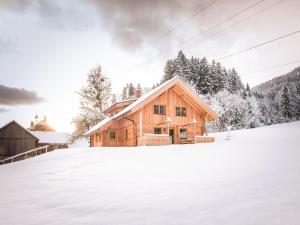 uma cabana de madeira na neve com chão coberto de neve em Chalet Grimmingblickhütte by Interhome em Unterlengdorf