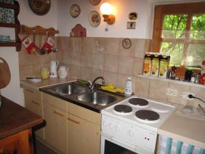 Kjøkken eller kjøkkenkrok på Holiday Home Kunzhof - TFN110 by Interhome