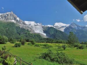 a grassy field with snowy mountains in the background at Holiday Home Les Pelarnys by Interhome in Chamonix