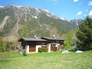 a house in a field with a mountain in the background at Holiday Home Les Pelarnys by Interhome in Chamonix