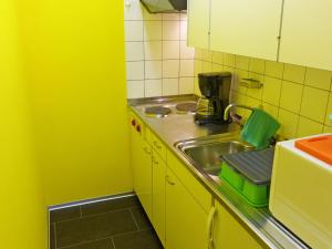 a small kitchen with a sink and a counter top at Apartment Viscaria-2 by Interhome in Zermatt +10 photos
