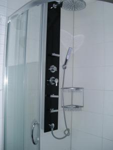 a shower with a shower head in a bathroom at Alles, außer gewöhnlich in Steinbergkirche