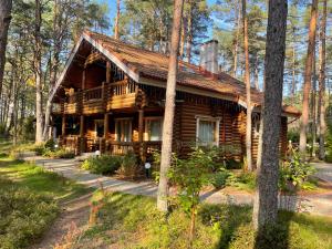 una cabaña de madera en el bosque con árboles en Okka Holiday Home en Alajõe