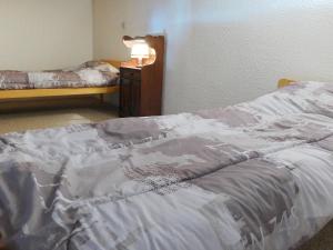 a bedroom with a bed and a lamp on a night stand at Apartment Les Olympiques - Tignes 1800-7 by Interhome in Les Boisses