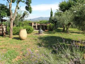 A garden outside Holiday Home Erbe by Interhome