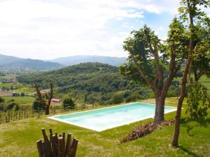 a swimming pool in a field with a tree at Holiday Home Montebello by Interhome in Monterchi