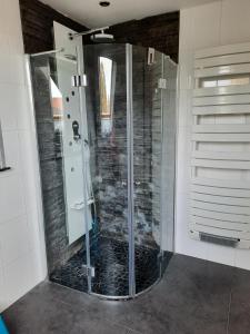 La salle de bains est pourvue d'une douche avec une porte en verre. dans l'établissement Au bonheur des hirondelles, à Kirrwiller