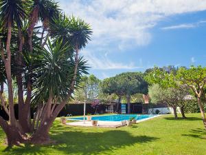 una piscina en un patio con una palmera en Apartment Edificio Blanqueries by Interhome, en Calella