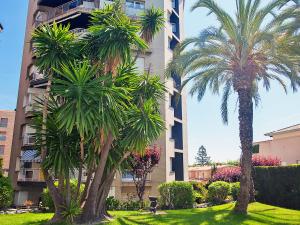 A garden outside Apartment Edificio Blanqueries by Interhome