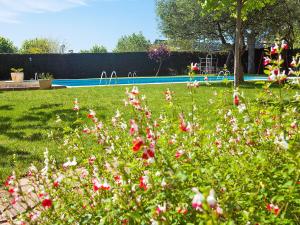 A garden outside Apartment Edificio Blanqueries by Interhome