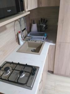 Kuchyň nebo kuchyňský kout v ubytování 2 osobowe kawalerki w domkach FreezerHause Kozery- NoclegiGrodziskPL 792-535-535